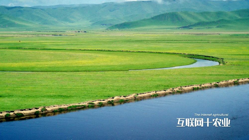 我們?nèi)绾勿B(yǎng)活世界？面向未來(lái)的智能農(nóng)業(yè)
